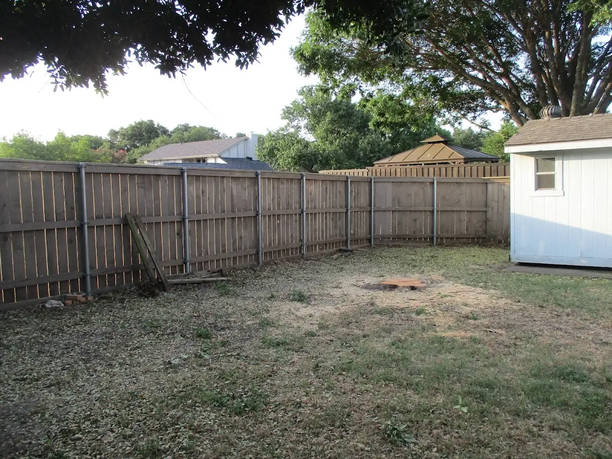 Cleared yard after professional tree removal in Rich Creek