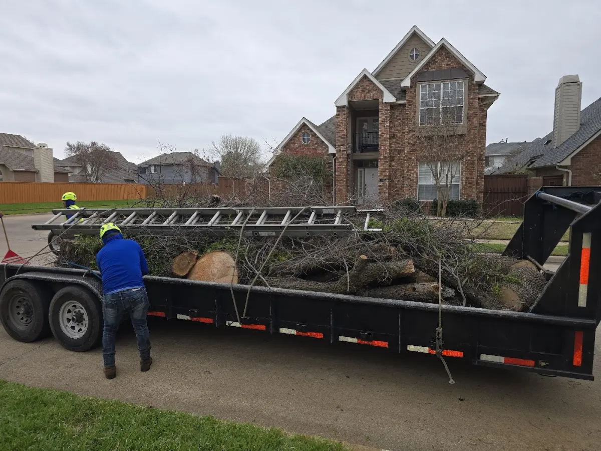 Expert Crown Reduction with proper safety equipment in Rich Creek